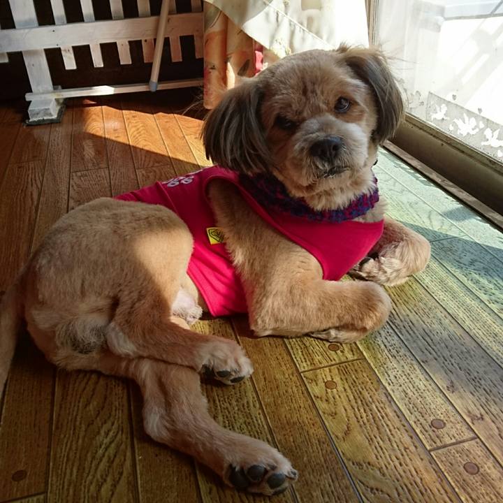 2739aabe 65f8 4449 ba51 b25d54856f69 1518578662139