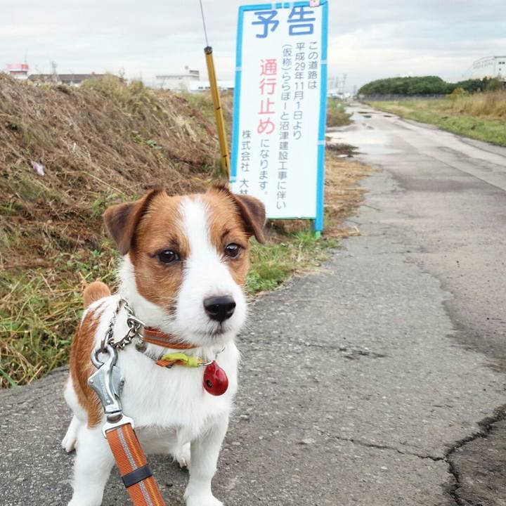 2739ee44 f404 4561 96a7 92bd353fdbec 1509405701277