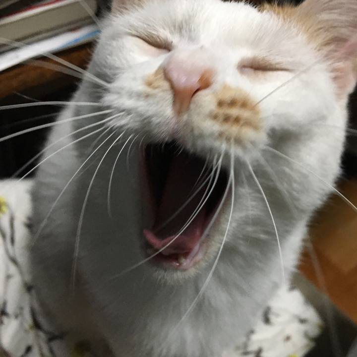 2739fc46 4f23 41d9 a222 45f01d9060d0 1571571379486