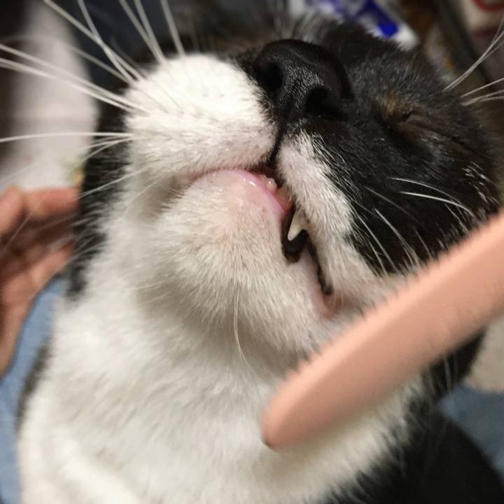 273a03e4 5cf0 4ea5 b639 270328b9a1bf 1592060608150