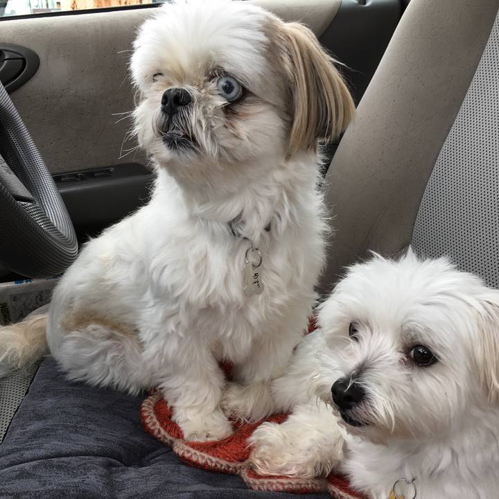 273a12cb ca7c 4eb8 8379 e8b710f10070 1563694964562