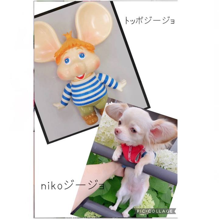 273a18ee 8b6c 4683 8611 cecbf6450835 1624195001248