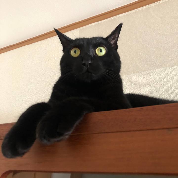 273a3801 963f 4629 aa4c 9a9aa156c7db 1566214757688