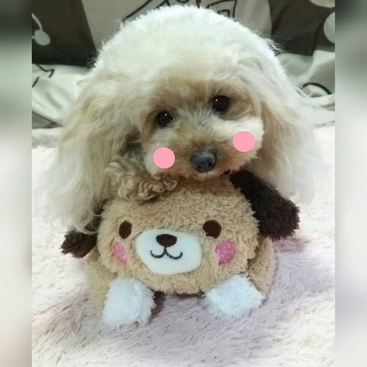 273a558e 93fe 49dc a9ad 7e3af3ad9347 1548071955709