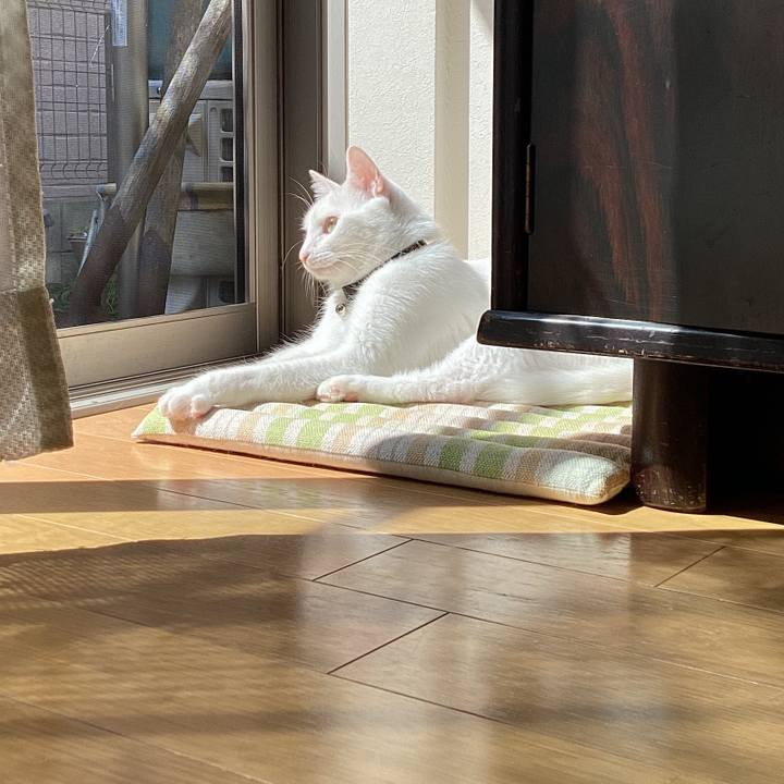 273aa88f 3ad9 4498 82ff 8f8193d3f660 1649553556730