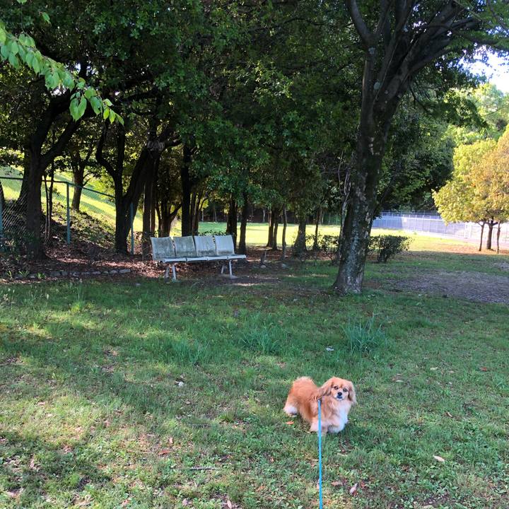 273ac47c 6409 4f3f 9674 de3920bbe0b9 1556324169070