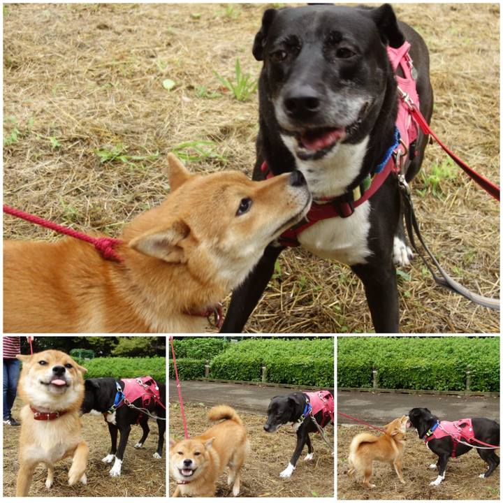 273b256c bba7 4bbb ab59 82585f290e7c 1694822996754