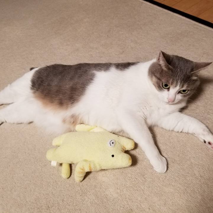 273b3961 fbab 4d08 8168 9f4c6a84e777 1616761679591