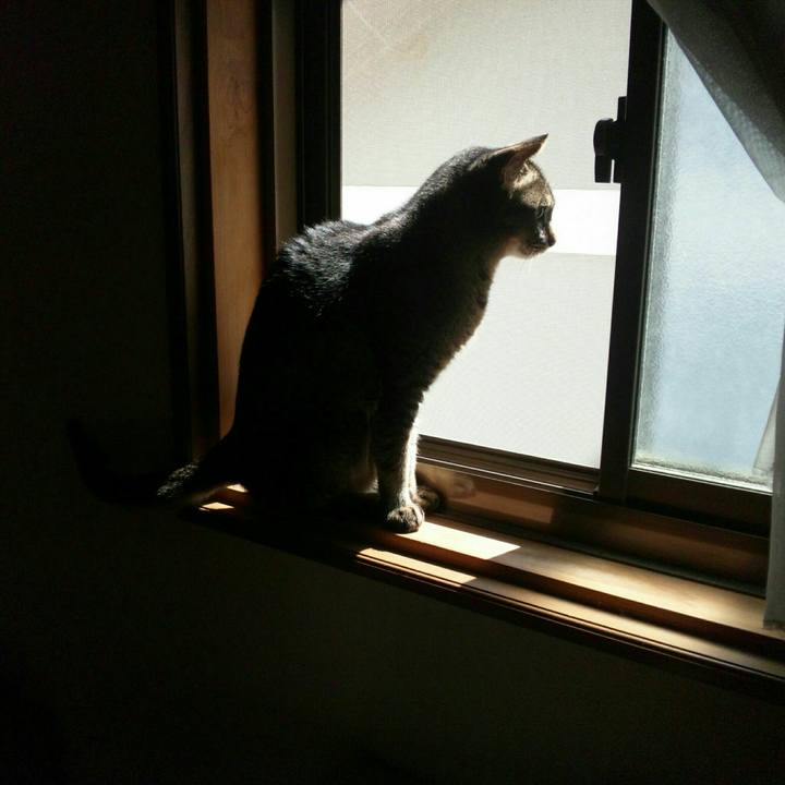 273b4f64 1f4c 4ab8 a501 edb9b4e44cdf 1558504348598