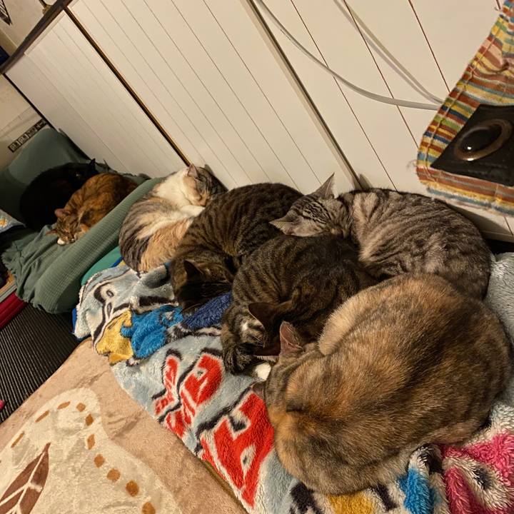 273b5303 6f98 4ea0 8f60 62e845a89fdb 1578236867986