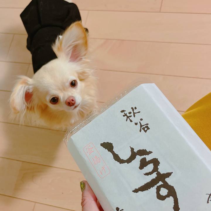 273b5c02 5a10 4561 95f6 897b8afe745e 1652584725648