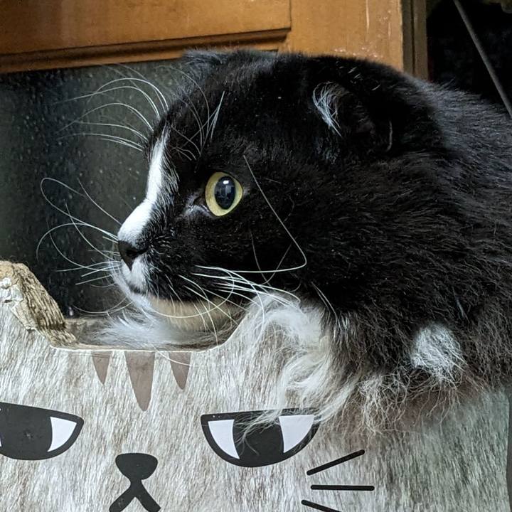 273b5db8 3c92 4166 9422 d32774128f95 1674734090010