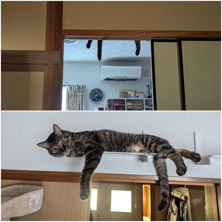 273b6db7 d9d7 416b bfe8 a770b21da8aa 1725793801939