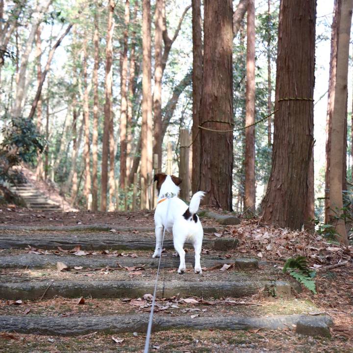 273b8747 1c56 4d4c 84e8 2c94d89cd39d 1550378193490