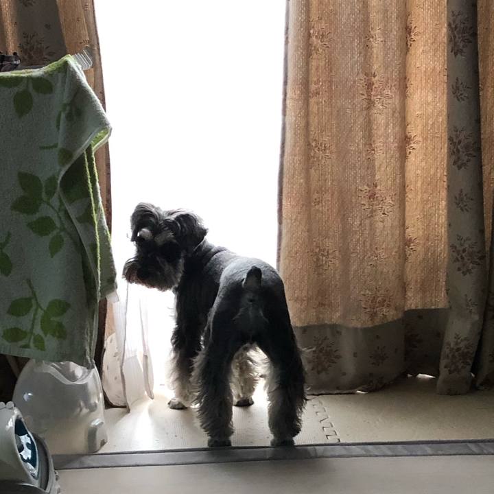 273b9415 9f76 4a54 bcbc 13ceb654192e 1589857598205