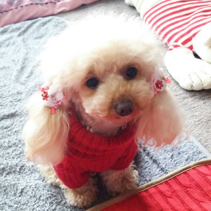 273ba424 b3bd 4591 9fe3 000cf581a9c1 1515669861872