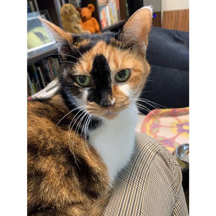 273bb352 2013 4085 bdd1 fa1253a96084 1763879556702