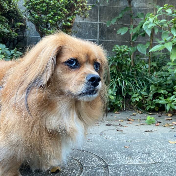 273bc4c4 305c 4a0f aaac a8b989f4efa0 1633469381843