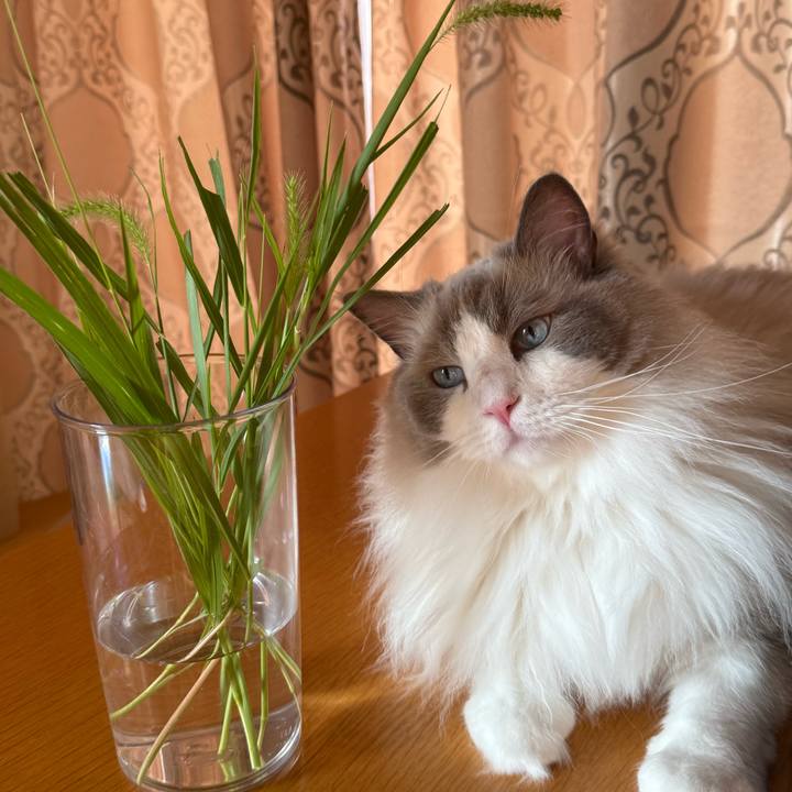 273bd590 7cac 4cb1 bb8b 045a654baeaa 1755766372552