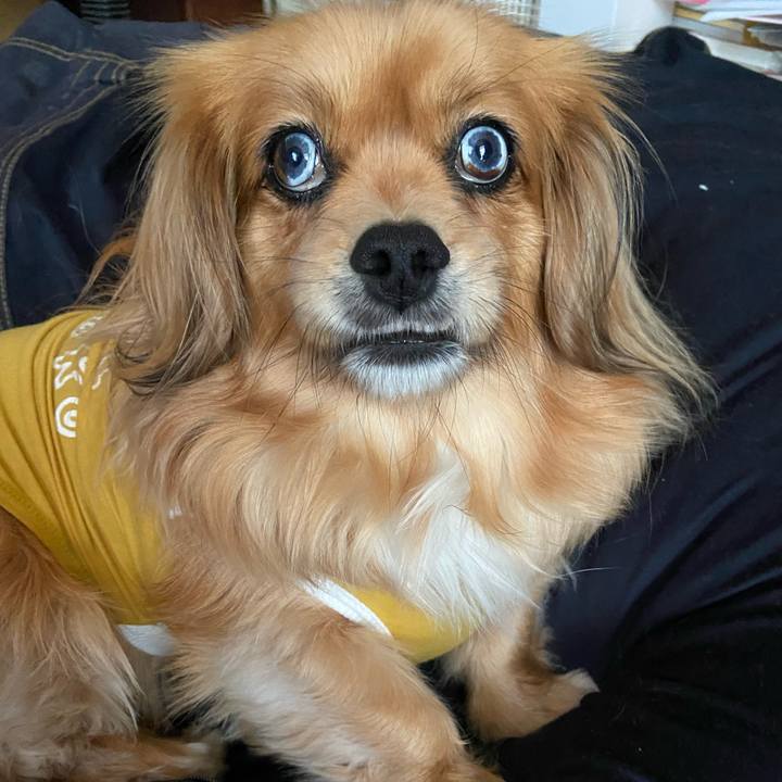 273bd628 37be 4224 a611 ec027a263d4d 1618869781399