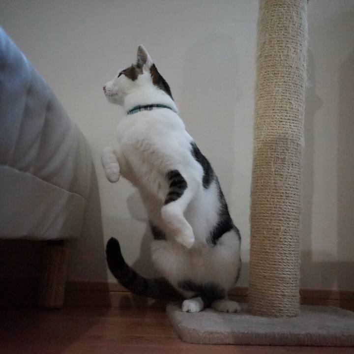 273bee01 92eb 4b5c 8b44 fcdbb371aa9d 1542325992789