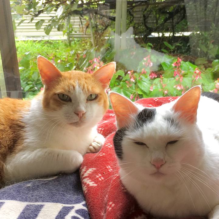 273bf4aa e8b3 4183 9c81 9e76bb47ebf2 1600067197483