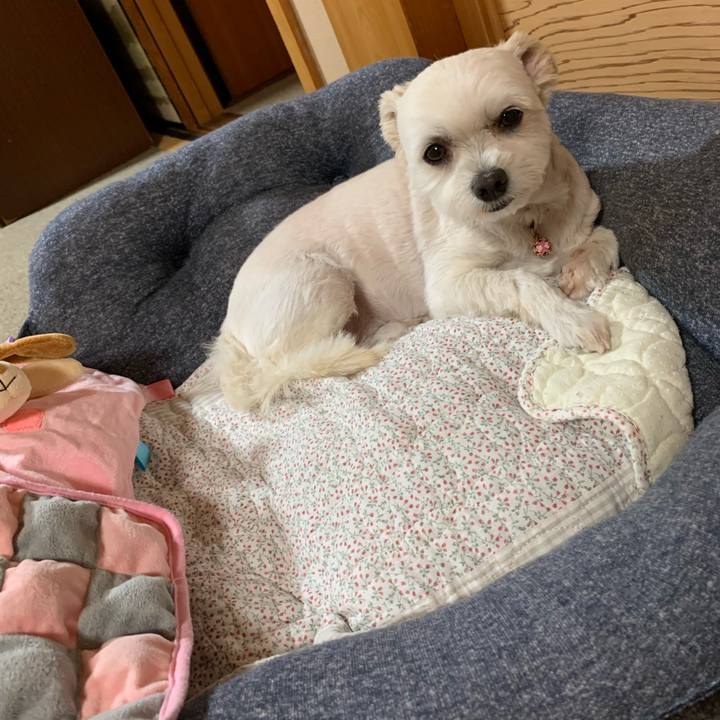 273bfb3e d817 46c3 985c 2287a9cee31c 1621853538344