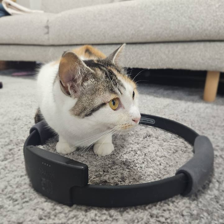 273c0b72 4304 4946 ba5c 4164495e90d8 1773920315928