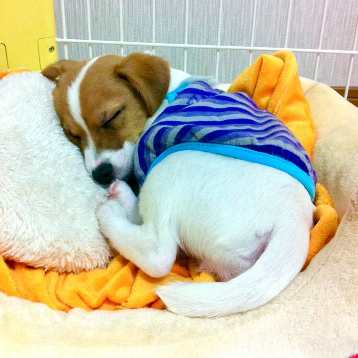 273c17d8 64e8 4095 885f 0b5aad71e0fa 1731763118039