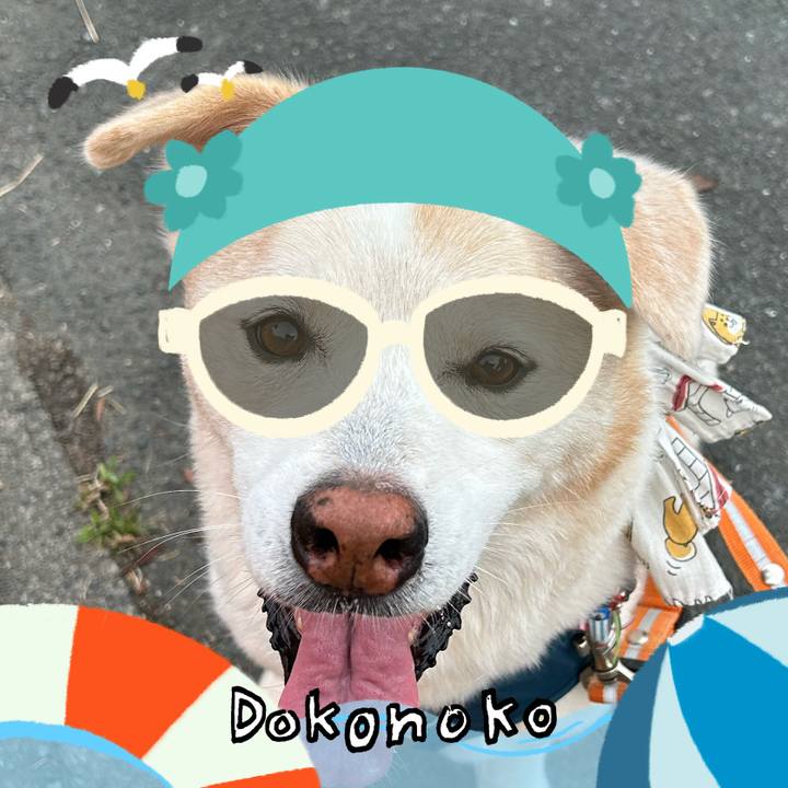 273c2cad 3768 47ca a38d 662d4b93c762 1723182403793