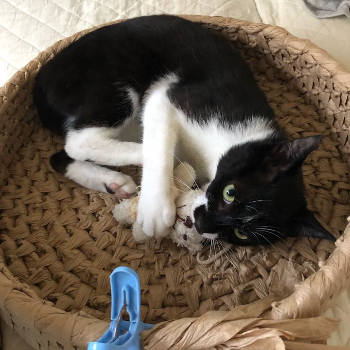 273c40b8 858e 40ad 93a6 d43389cb5446 1531132567784