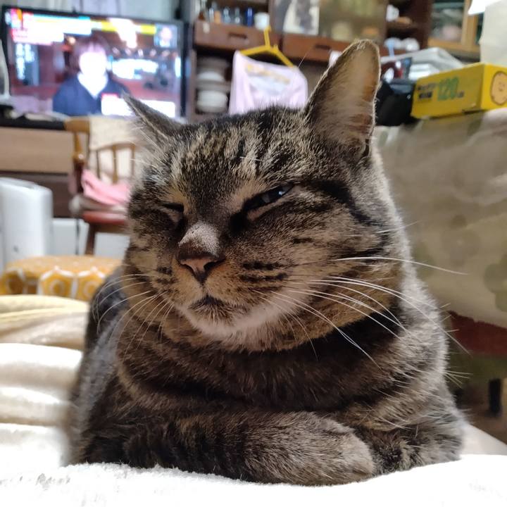 273c7458 0608 40cb 83bb d4e29dc9c8c3 1705039310857