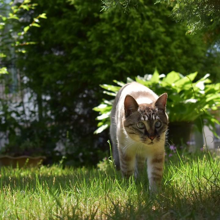 273c757d 07d7 4142 ad05 77051b3045c4 1525492352842