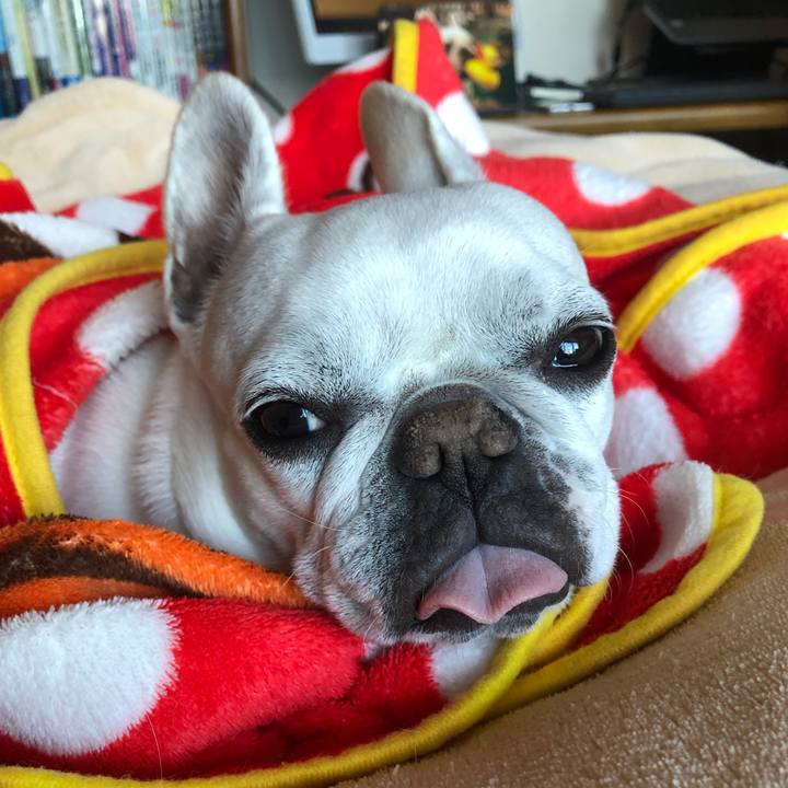 273c785d 03e0 4060 af8e fa9cbc646584 1613566153075