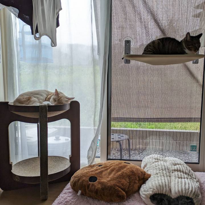 273ca30c 9612 4f30 b099 819de68ff671 1696809812690