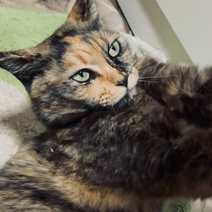 273ca639 02dc 40c6 8468 a84920555027 1744310844410