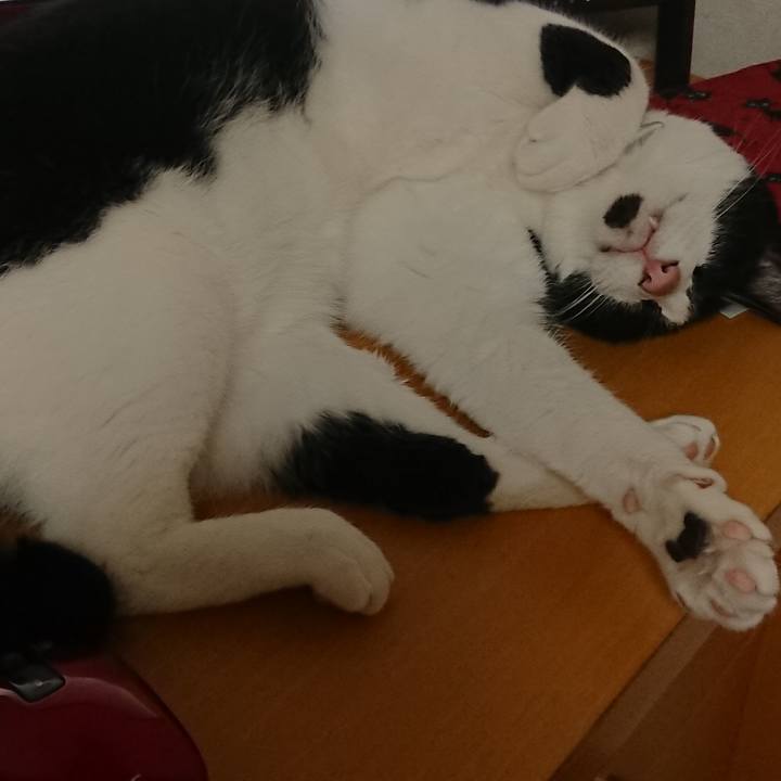 273ccc98 bff4 47fa 817c e5bffac3dae2 1625271510061