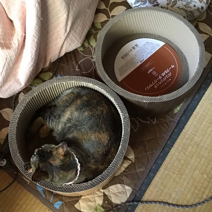 273cd16d 6106 4fb3 afb2 372d2db78155 1697541635181