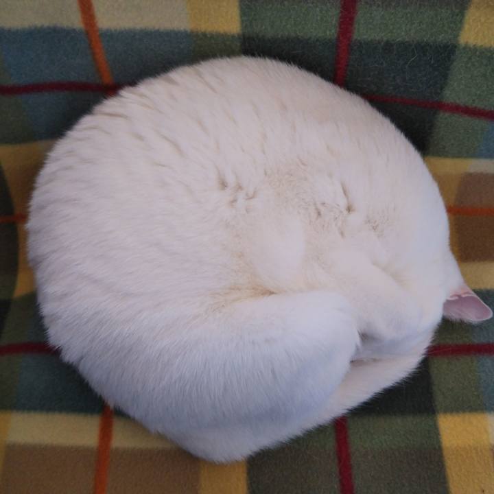 273ce00b 258b 4820 a007 ccfcbbcdfd9a 1552710722260