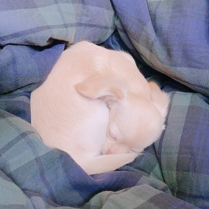 273d0a53 8ba5 4dfb b839 f3ceafb6cc29 1594611537669