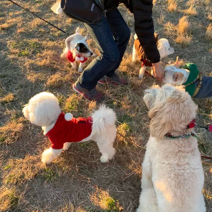 273d4696 fd7f 4820 97cb 15bd9a86eccf 1671868838664