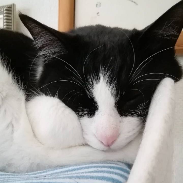 273d51c9 c278 42e3 a8cc 72fda2d8beba 1558402097443