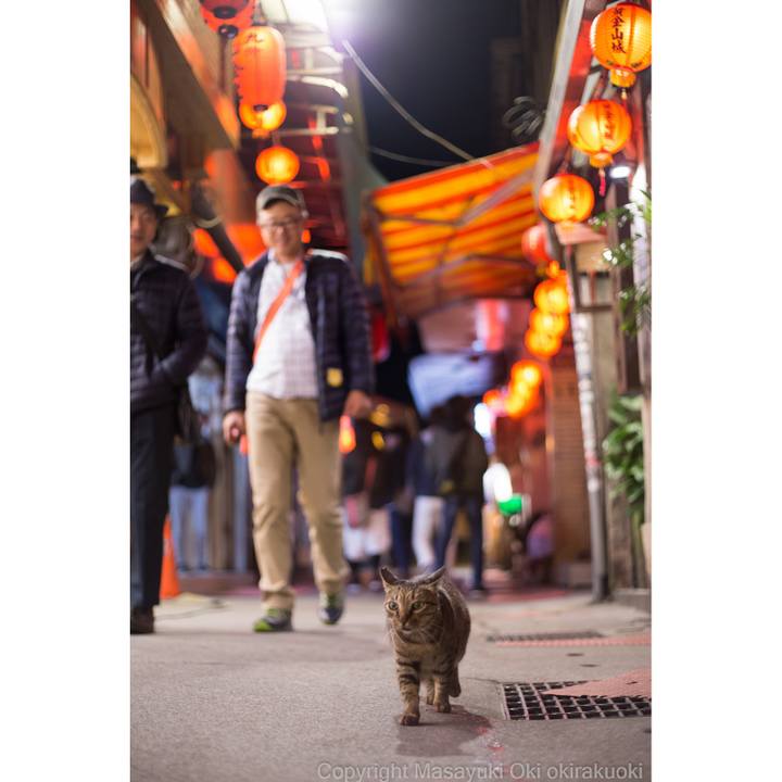 273d5316 755f 4f6d 84ef 6948858bd83e 1516842519824