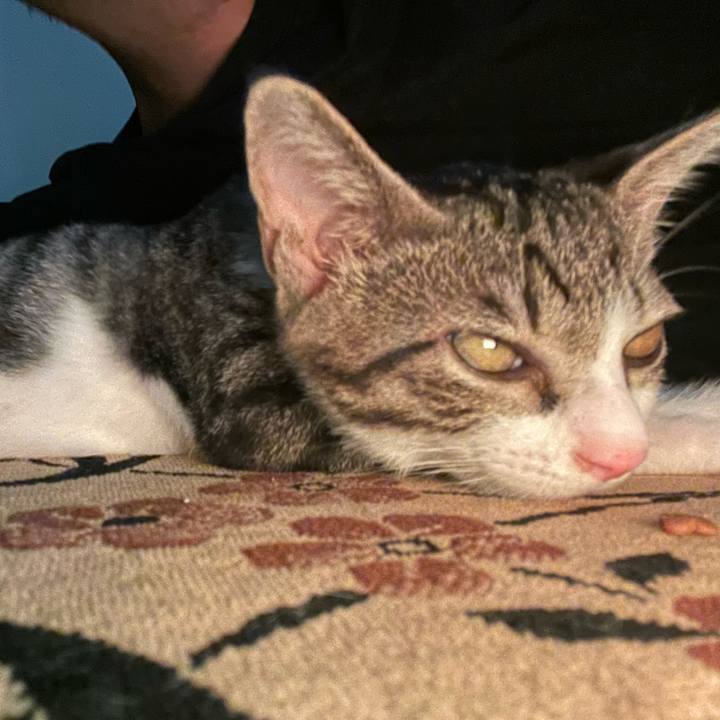 273d7735 479c 42c3 8cc0 d5eb0daf0986 1723414104132