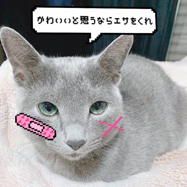 273d837b d546 4821 adcb 0ef6af3a5dc2 1577827319381