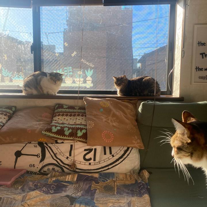 273d9fd1 48dc 4f30 9685 ad5121e160c9 1671927198930