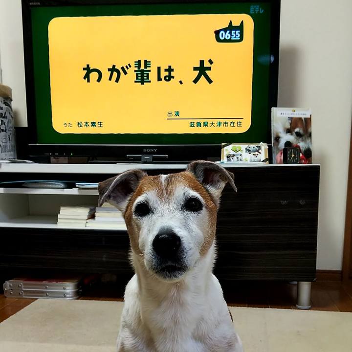 273dcb70 887b 4110 adb2 3cb47ba6ce51 1547503585674