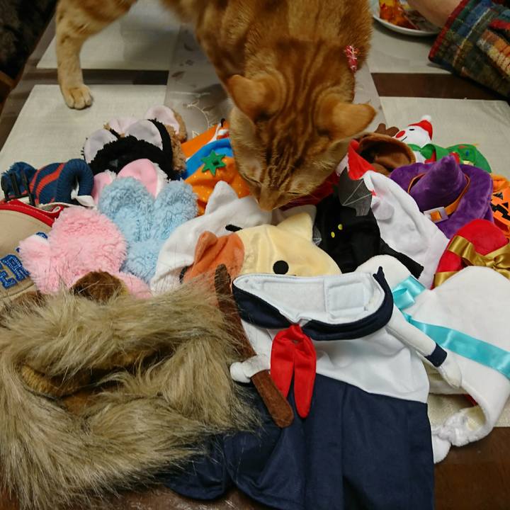 273dd967 e7e4 4419 8b10 c36a43094b2c 1518304308810