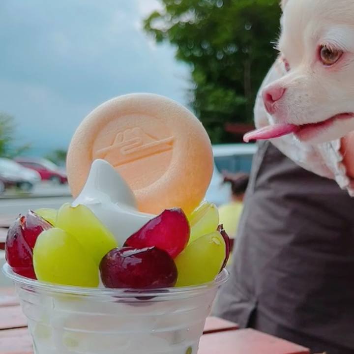 273dd96a c7d4 43b4 b351 ce13a5cb3590 1662297120946