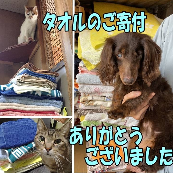 273e1795 e946 42a3 8106 2f3b0471eb14 1585026007113